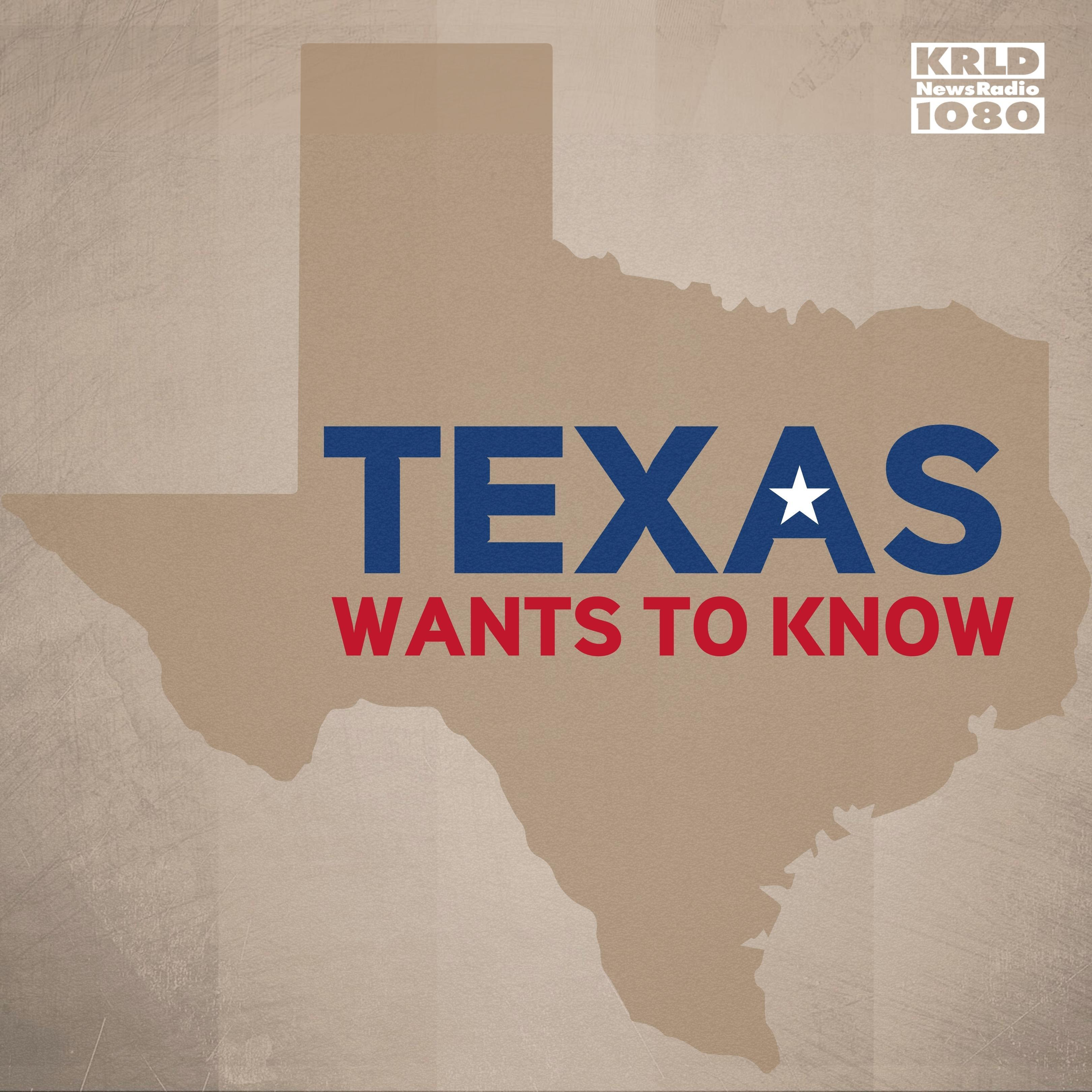 Who's responsible for security along the Texas-Mexico border?