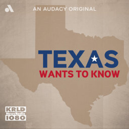 What's driving the growth in Texas' Asian-American and Pacific Islander population?