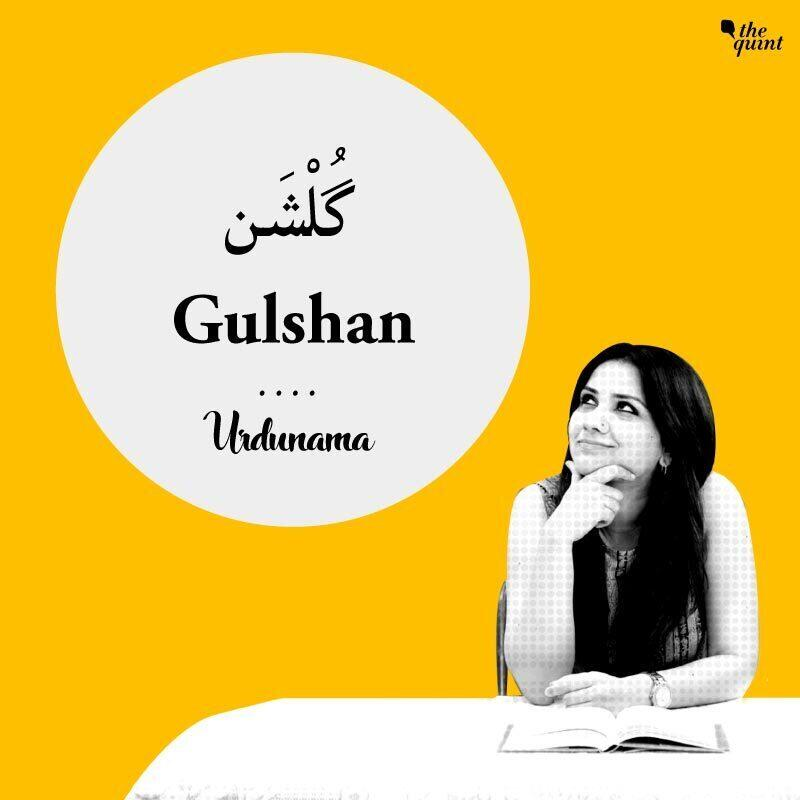 Look Deep Into 'Gulshan' to Understand Everything Better