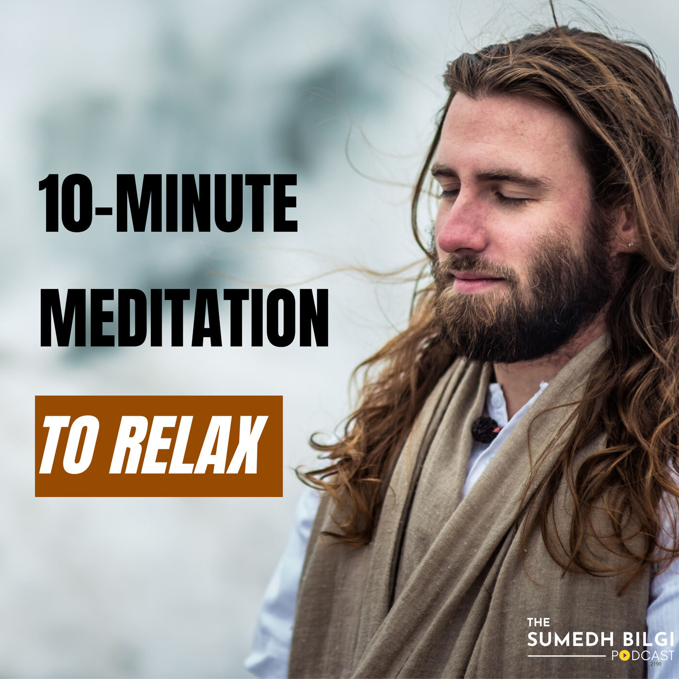 Clips: 10-Minute Guided Meditation with Swami Punrnachaitanya | Sumedh Bilgi Podcast