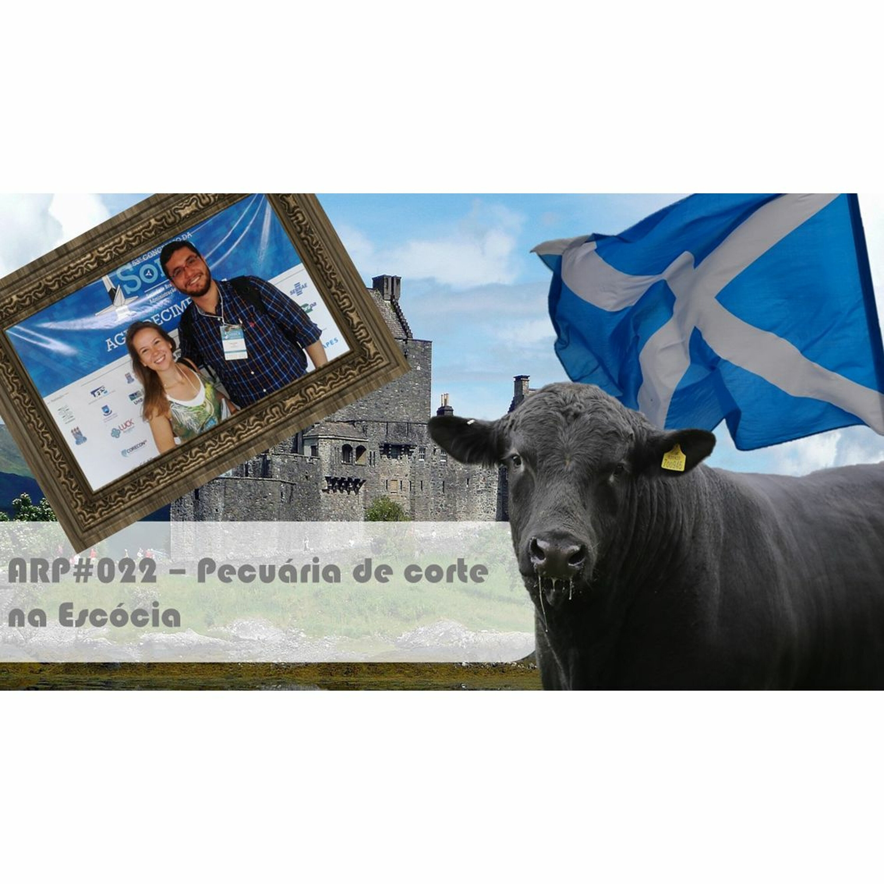ARP#022 - Pecuária de corte na Escócia
