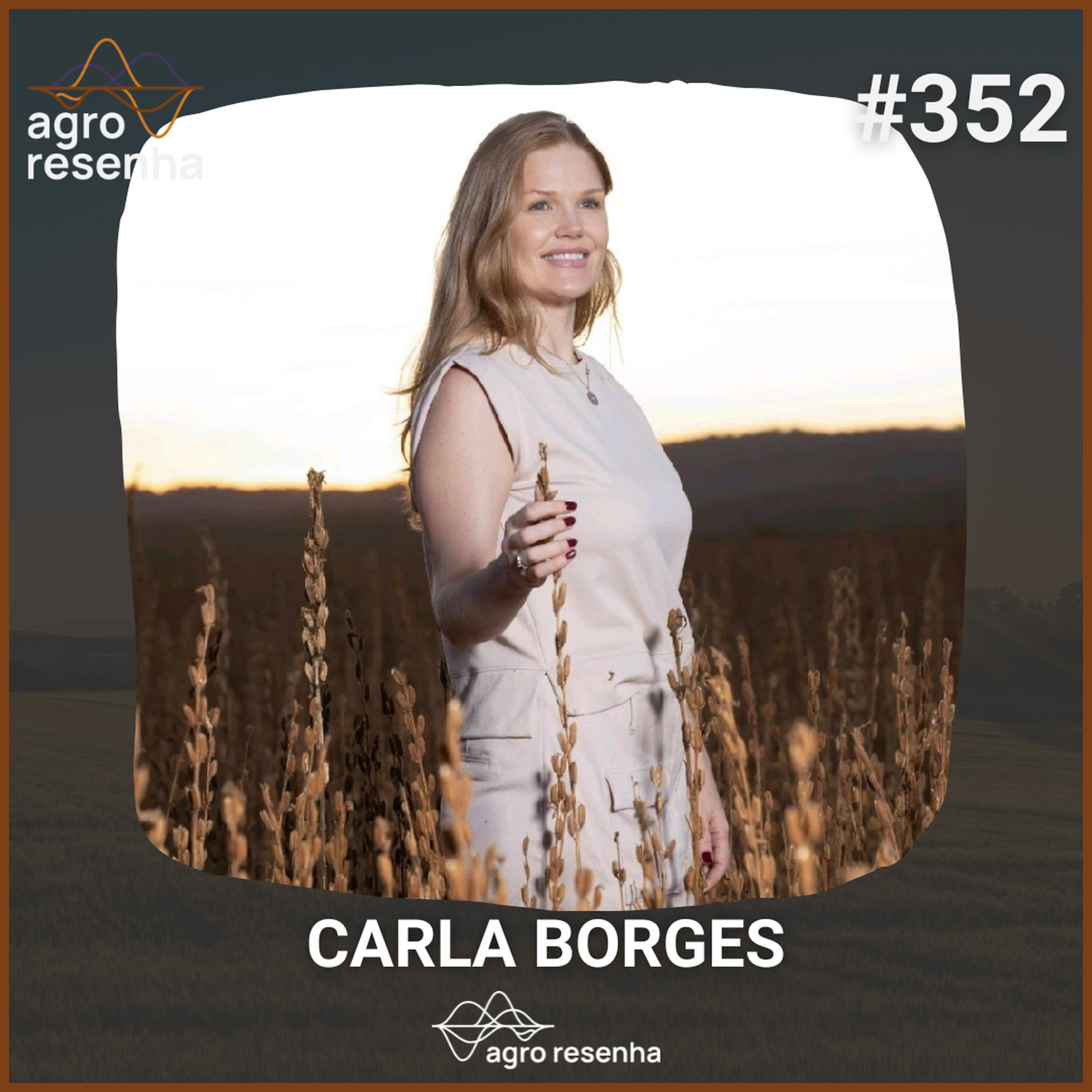 ARP#352 -O potencial do gergelim e os gargalos logísticos dos portos brasileiros