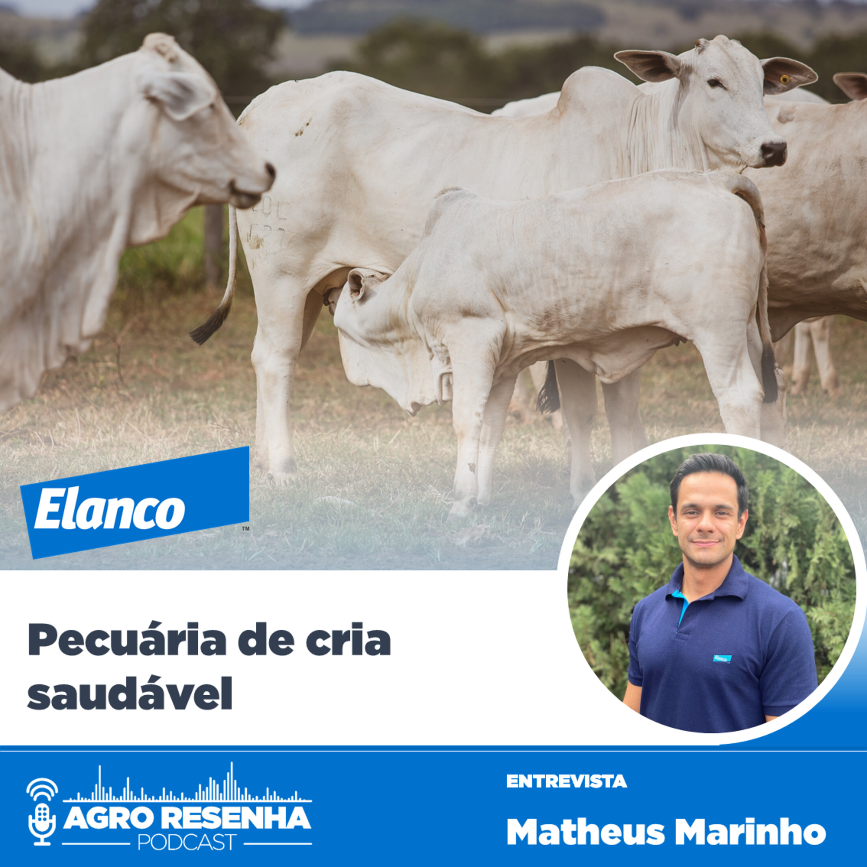 Rede Rural de Podcasts