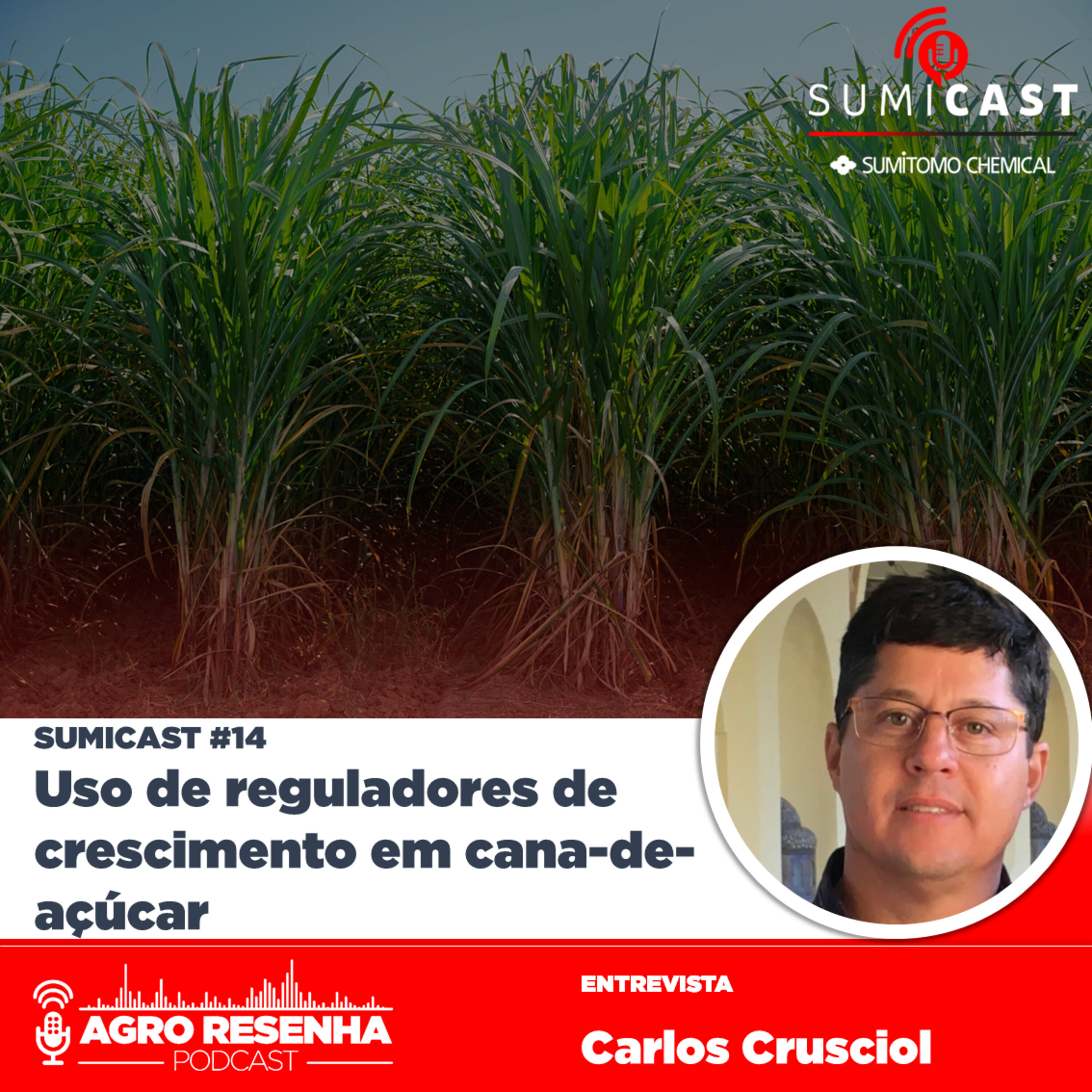 Agro Resenha Podcast