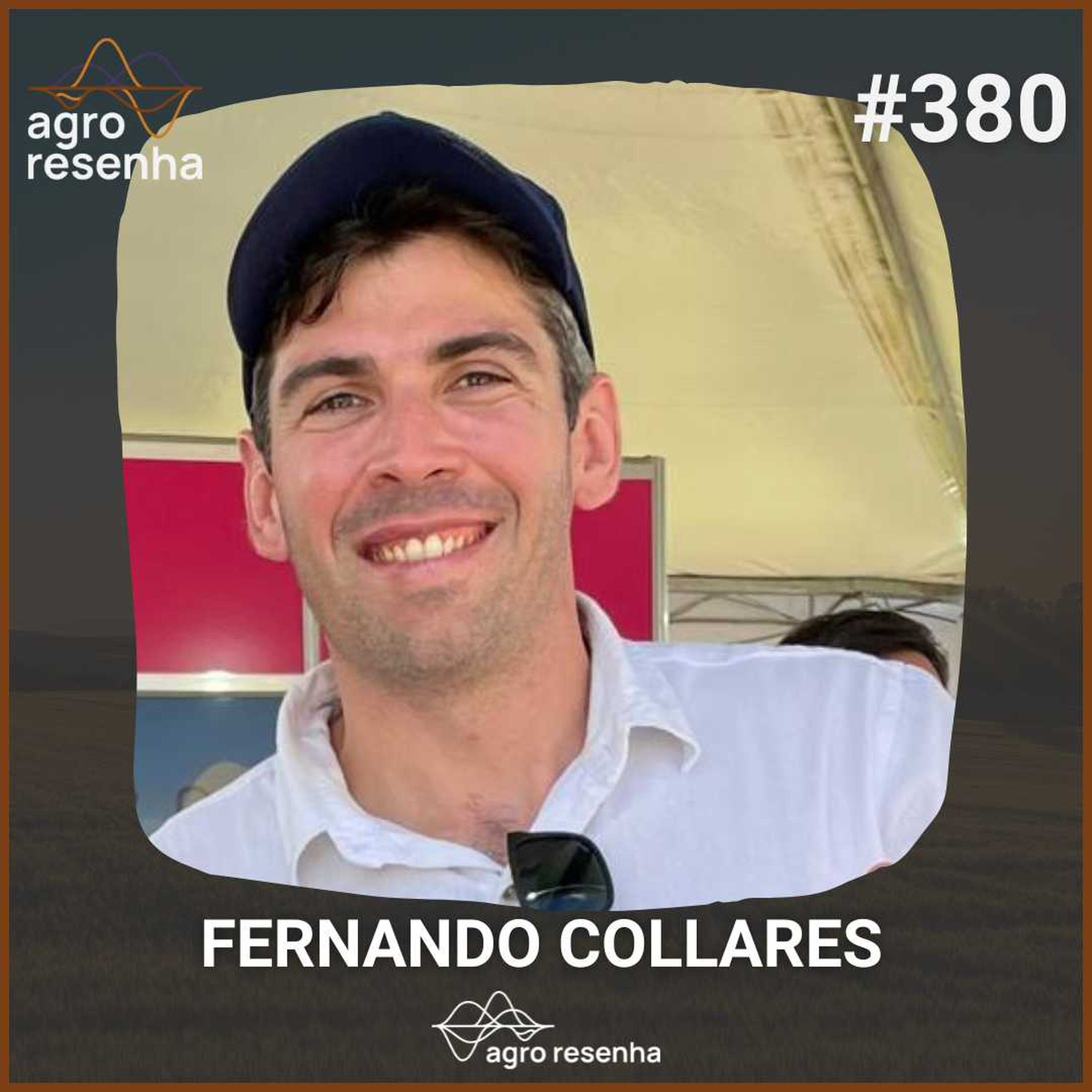 ARP#380 - Biofertilizantes à base de algas marinhas