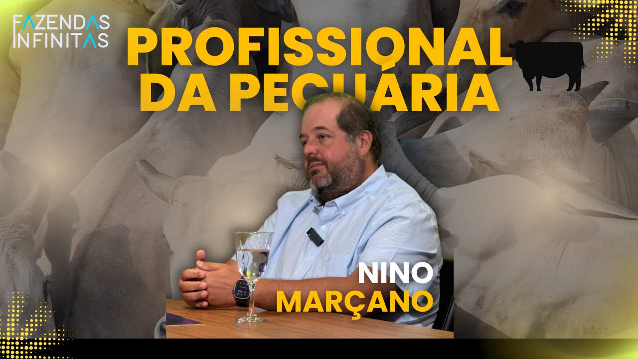 NINO MARÇANO - EP. 28: A VERDADE SOBRE A PECUÁRIA: do pasto ao EMPÓRIO PRIME