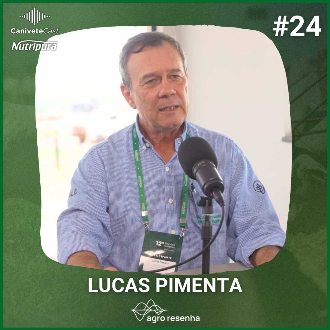 CaniveteCast #24 - Confiança, tomada de decisão e crescimento