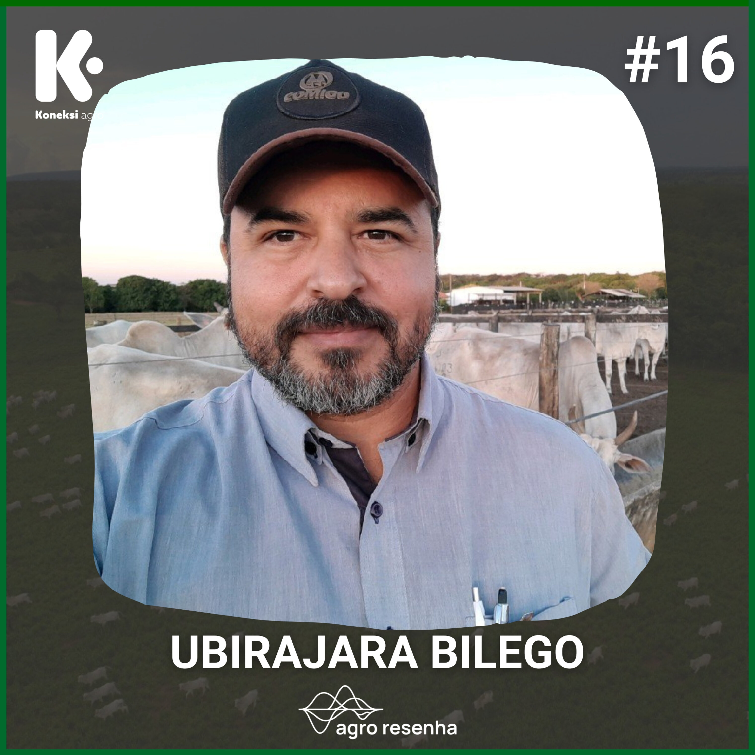 Koneksi Agro #16 - A pesquisa como caminho para a rentabilidade na produção animal