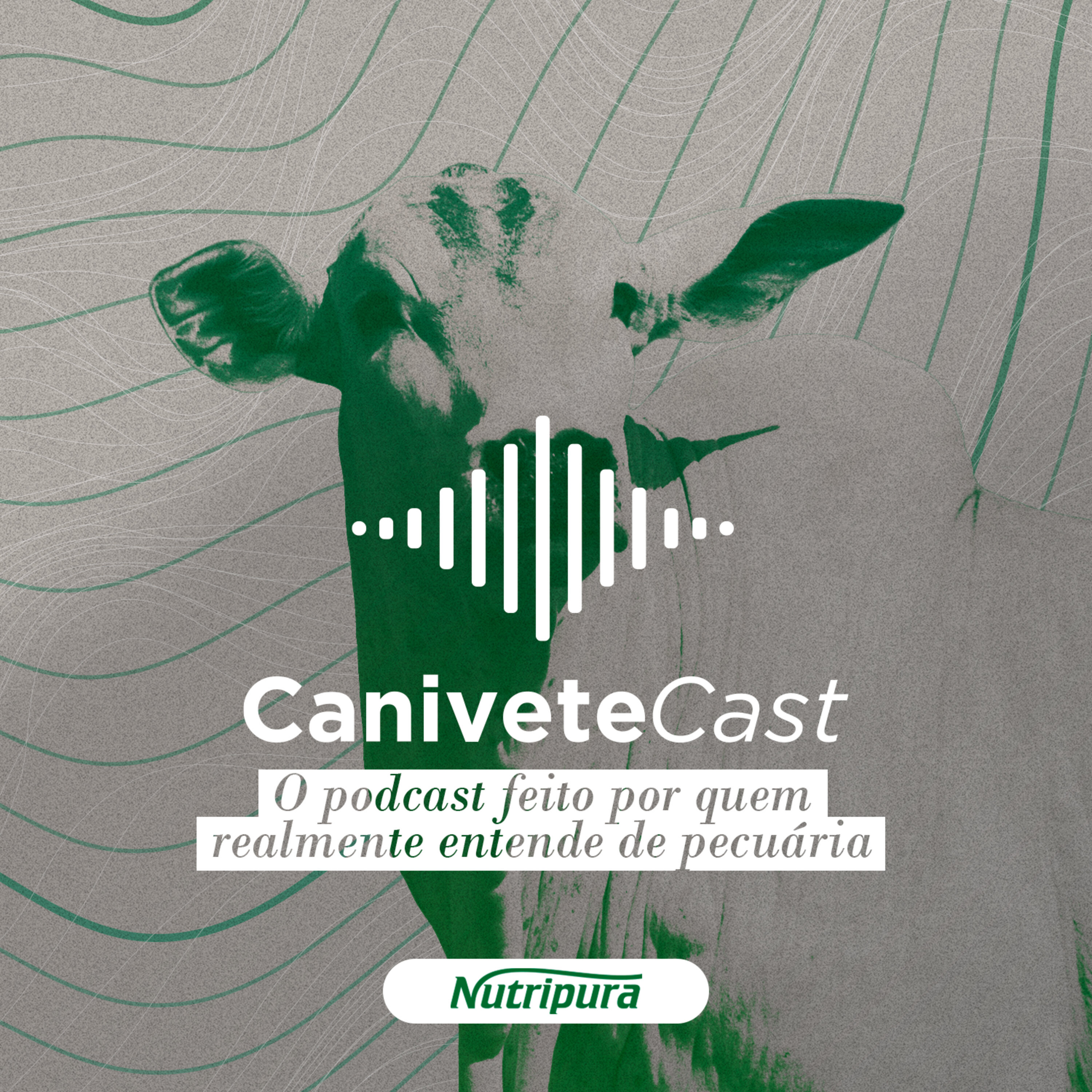Apresentação do CaniveteCast