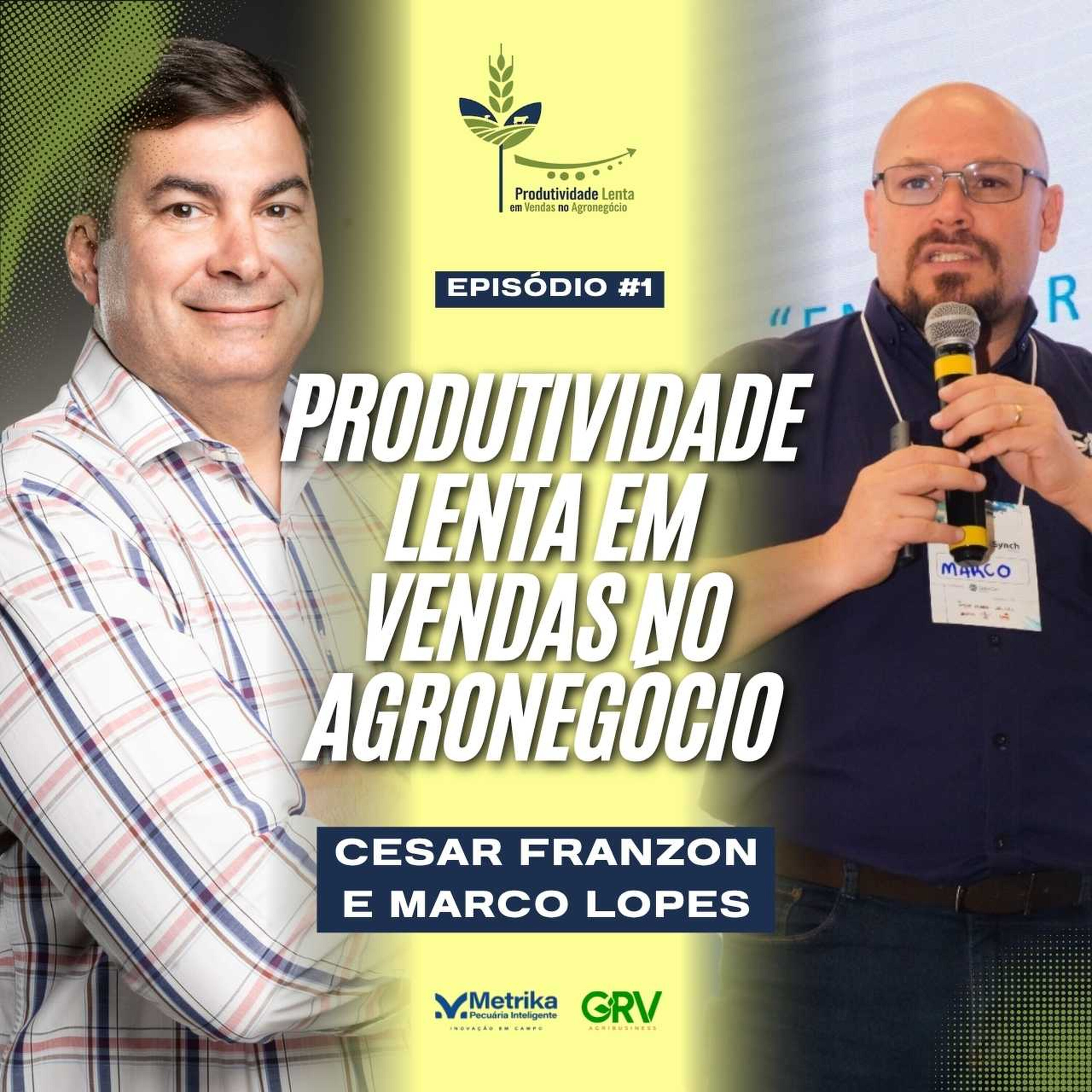 PRODUTIVIDADE LENTA EM VENDAS NO AGRONEGÓCIO