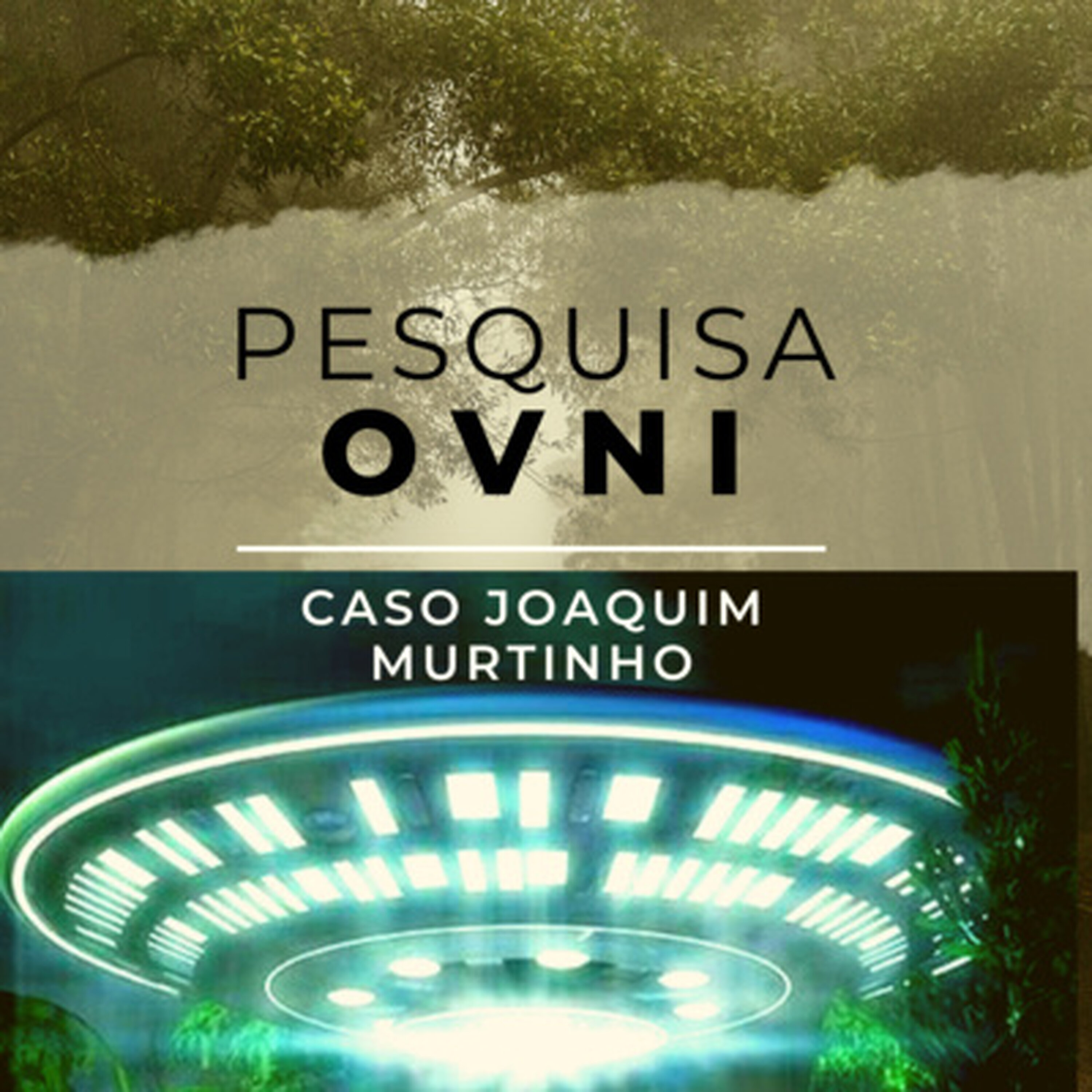 015 - CASO JOAQUIM MURTINHO