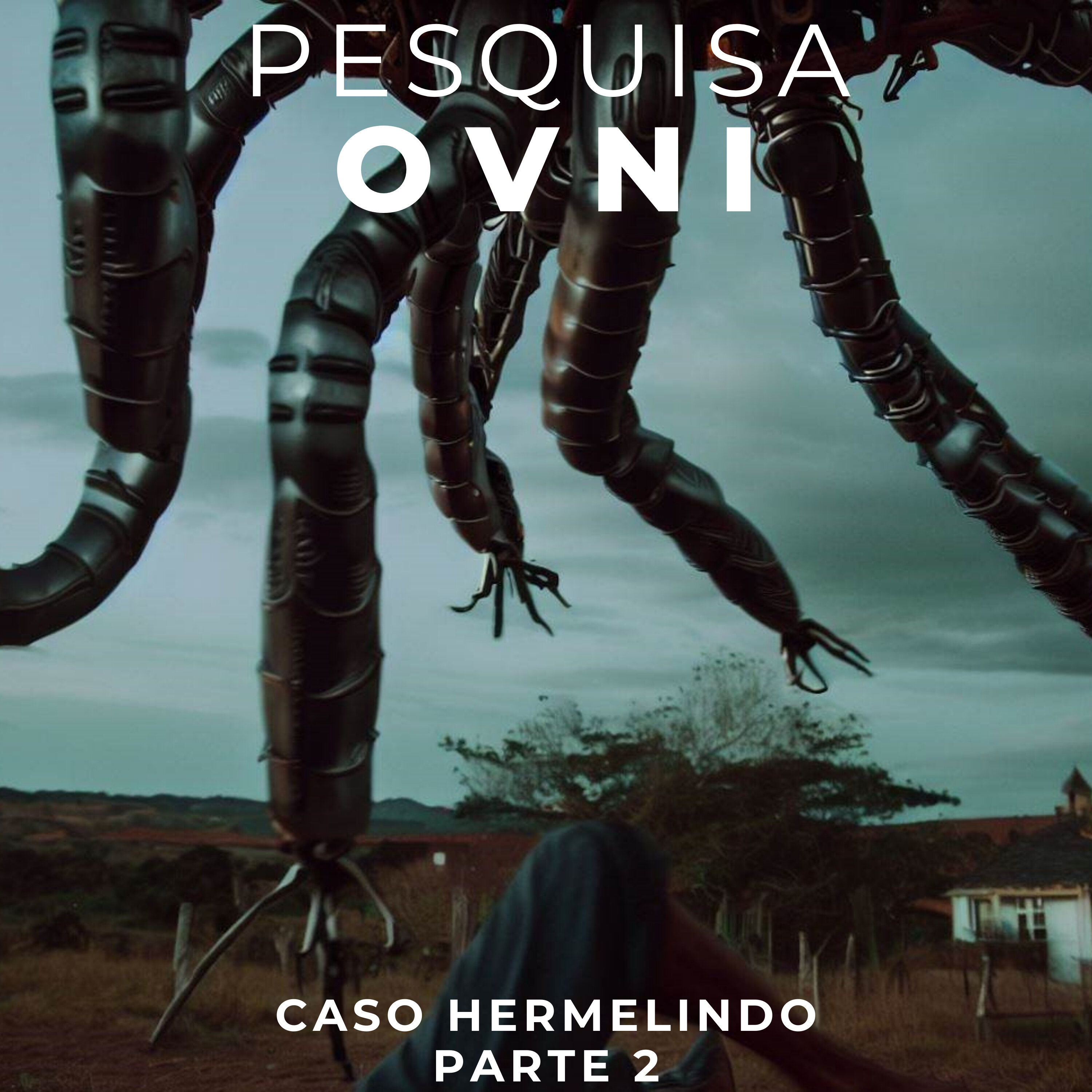 005 - CASO HERMELINDO PT 02