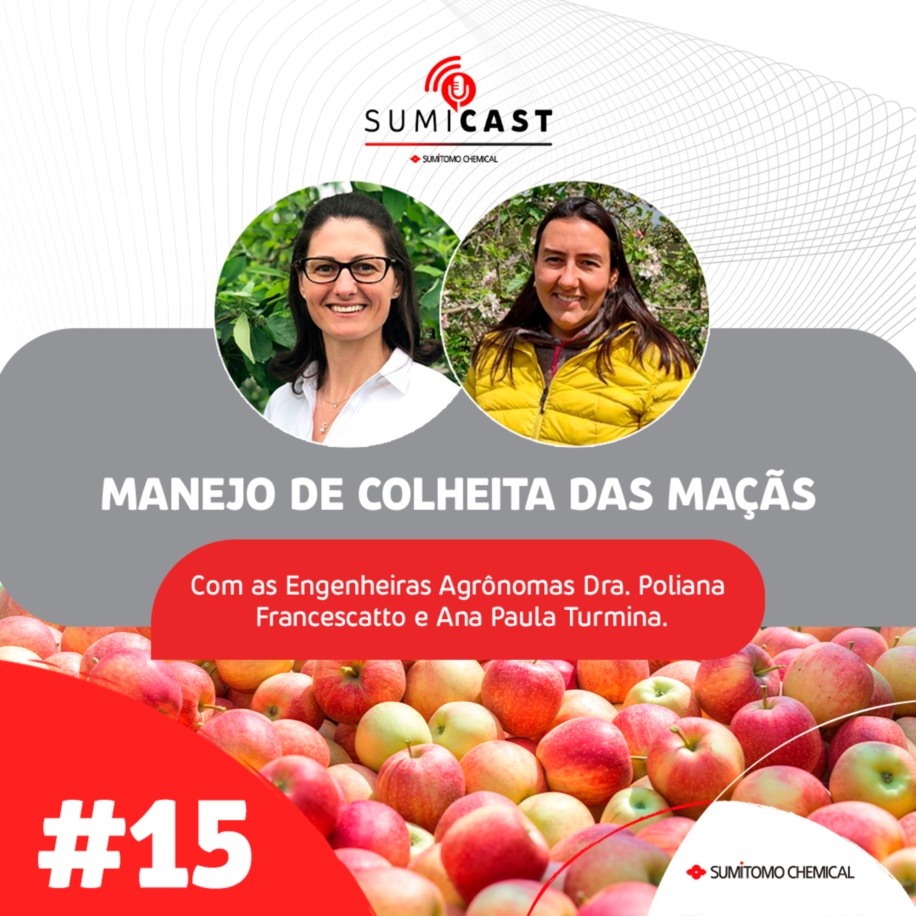 #15 - Manejo de colheita das maçãs episode artwork