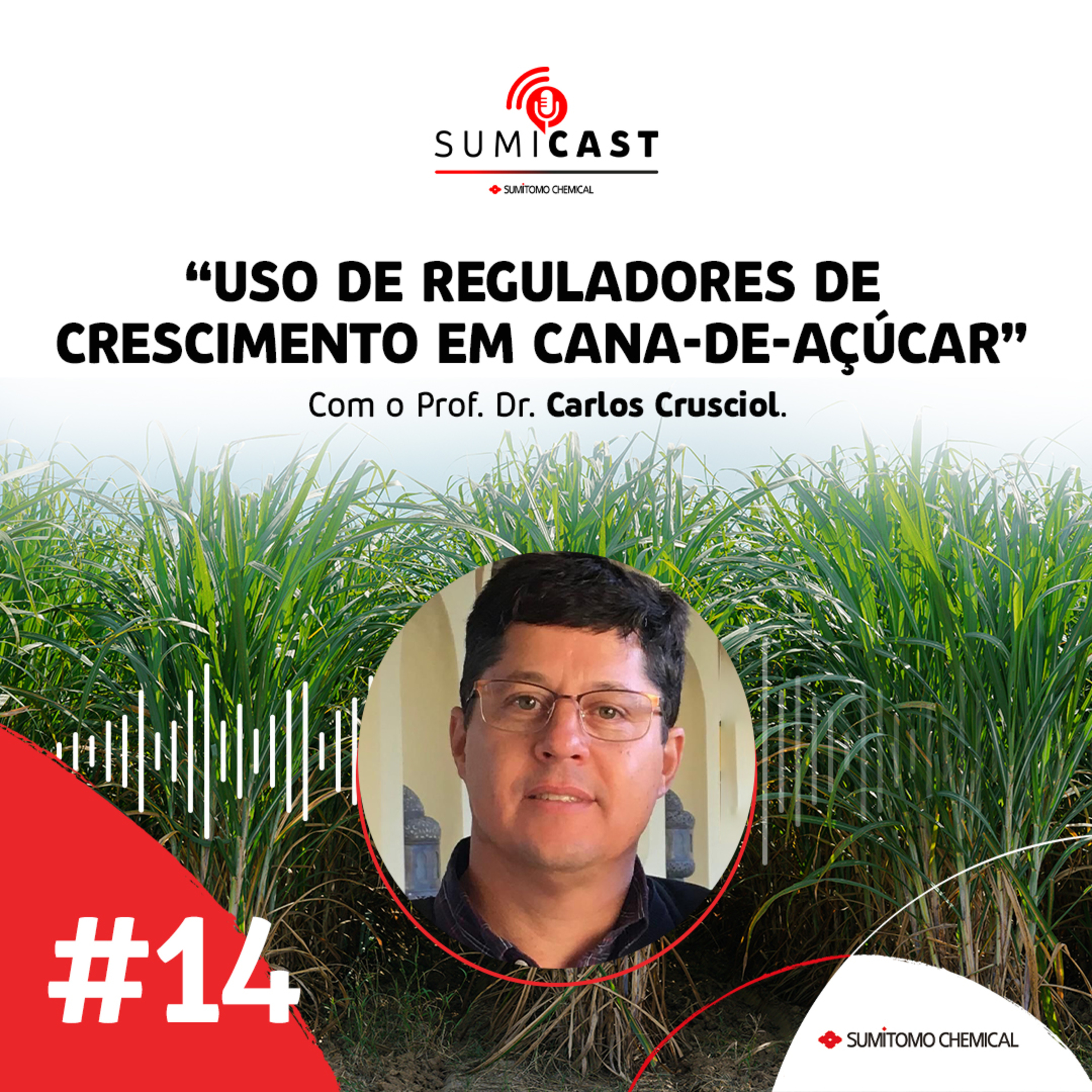 #14 - Uso de reguladores de crescimento em cana-de-açúcar episode artwork