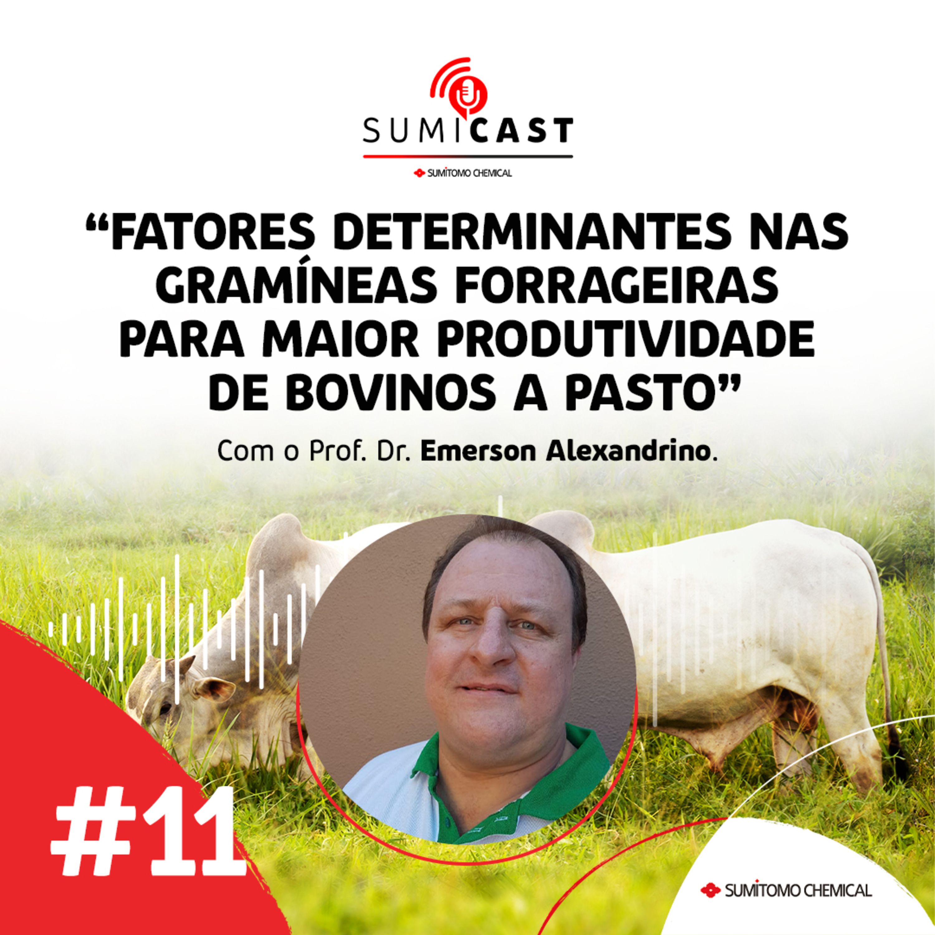 #11 - Fatores determinantes nas gramíneas forrageiras para maior produtividade de bovinos a pasto episode artwork