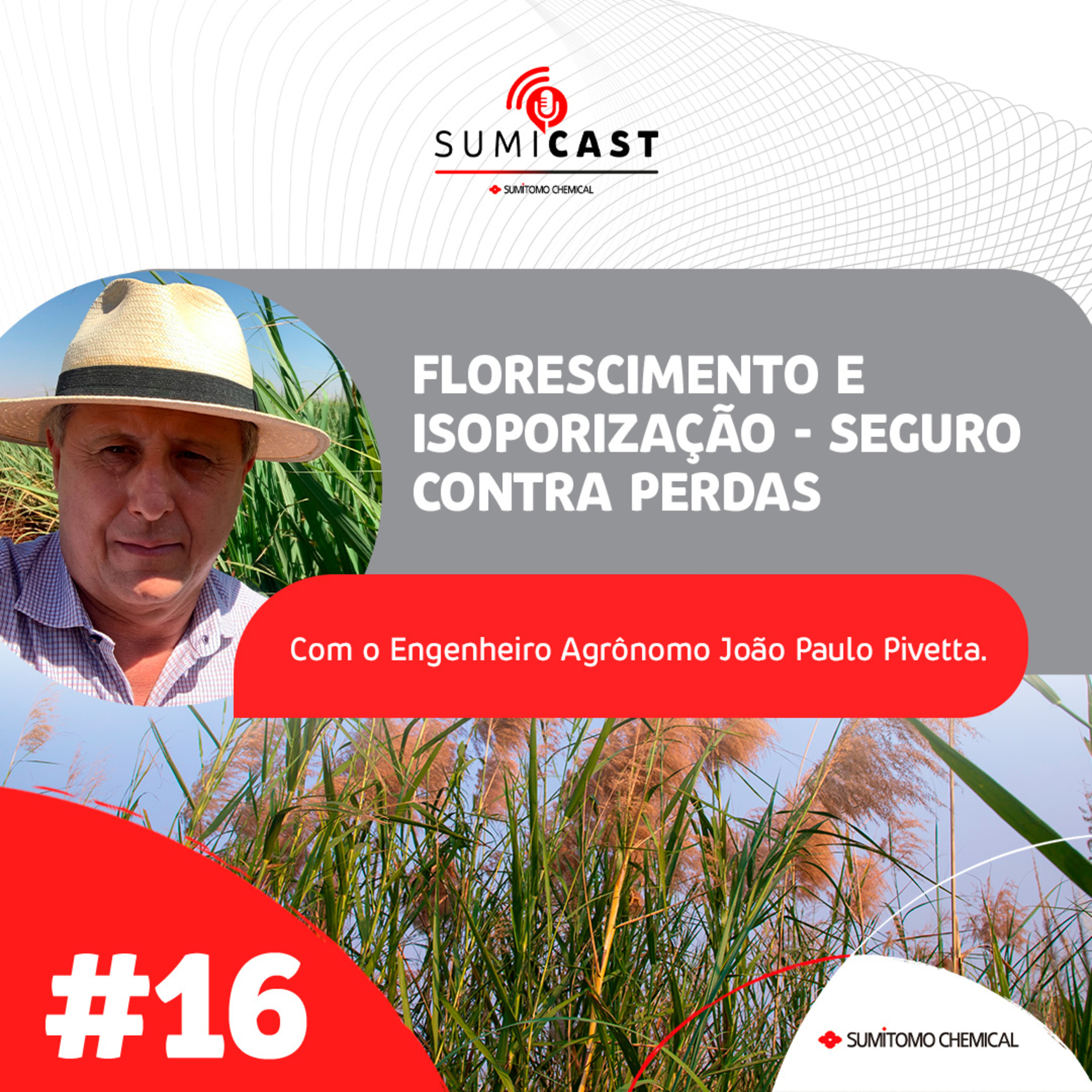 #16 - Florescimento e isoporização episode artwork