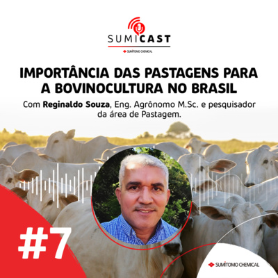 #07 - A importância das pastagens para a bovinocultura no Brasil episode artwork