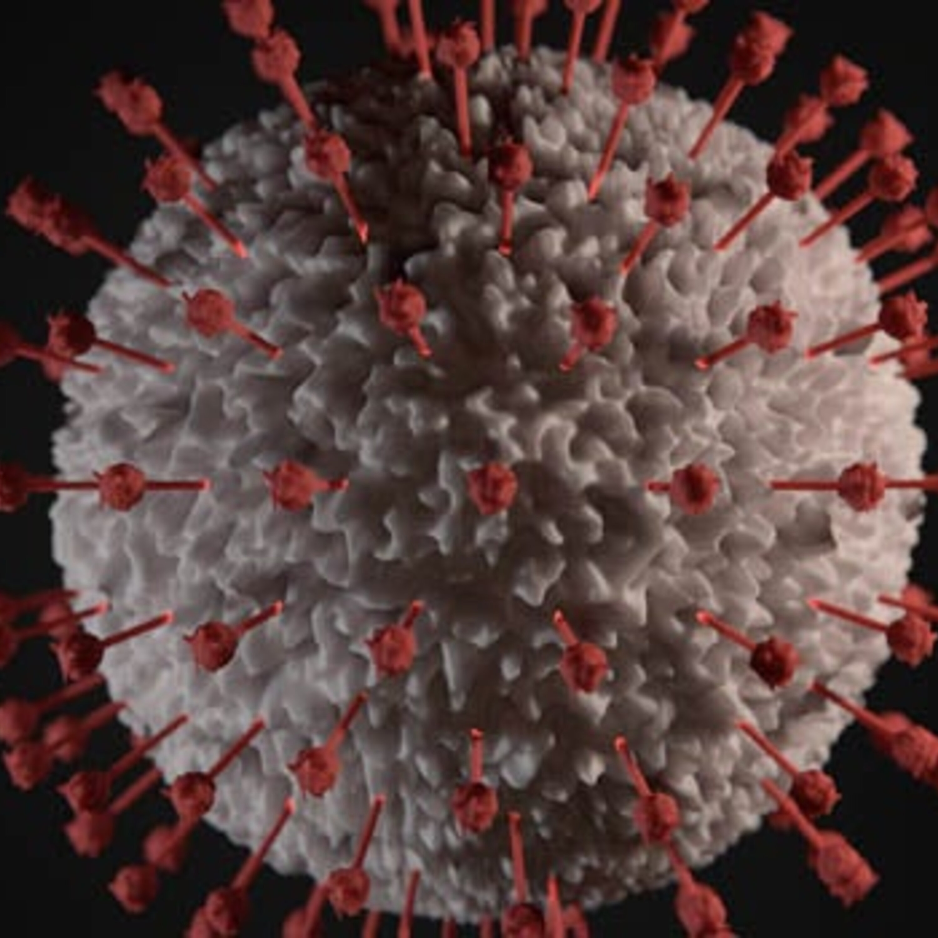 Covid19: Vaccines and tests
