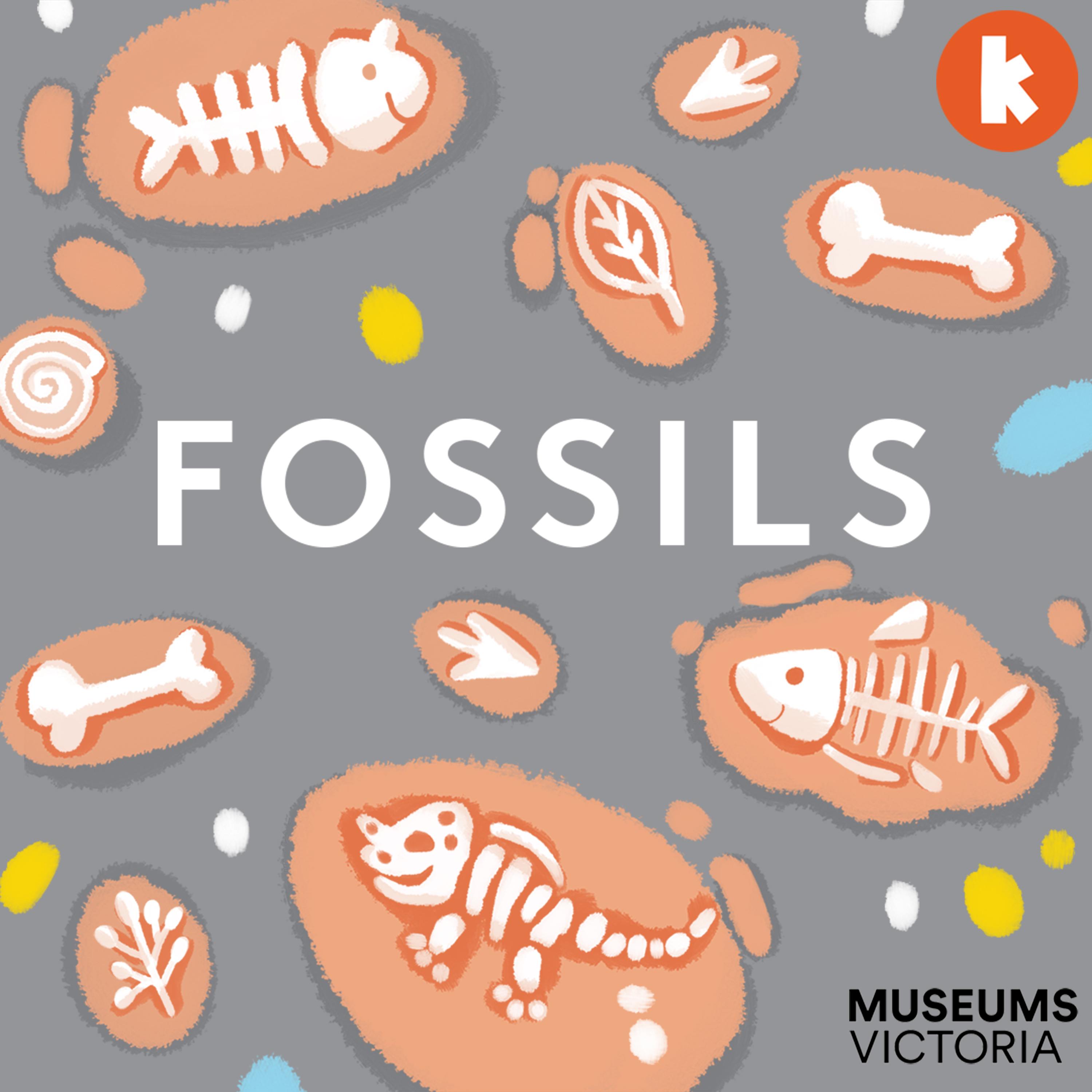 Fossils