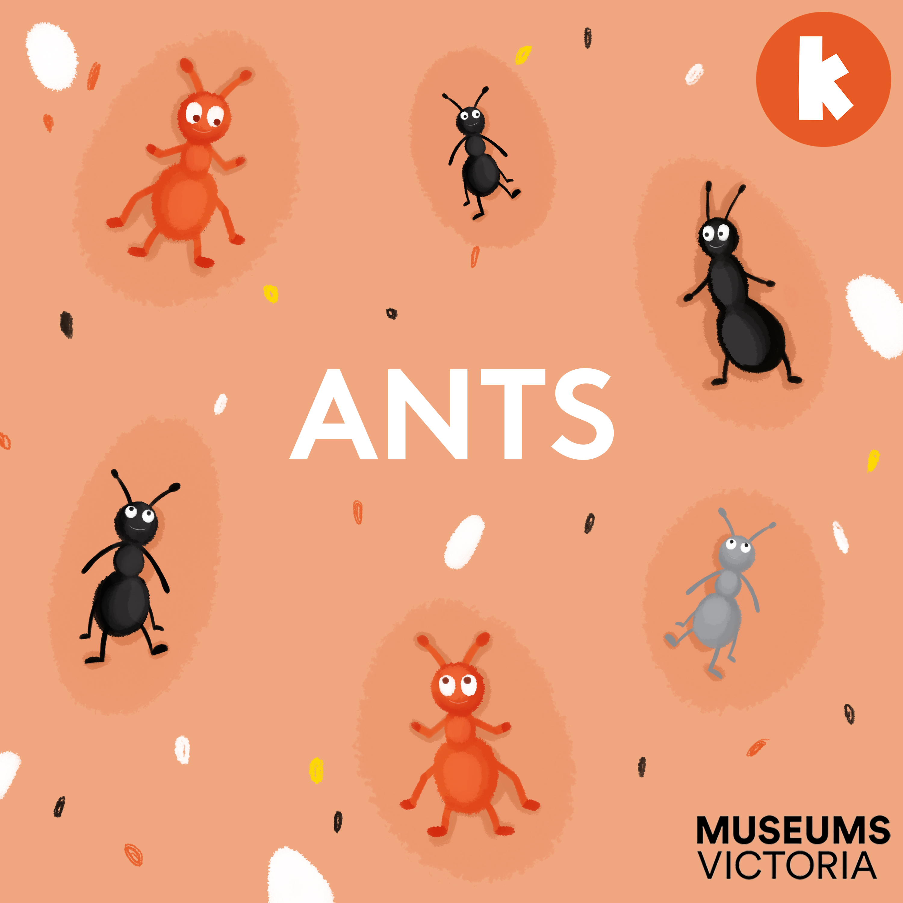 Ants