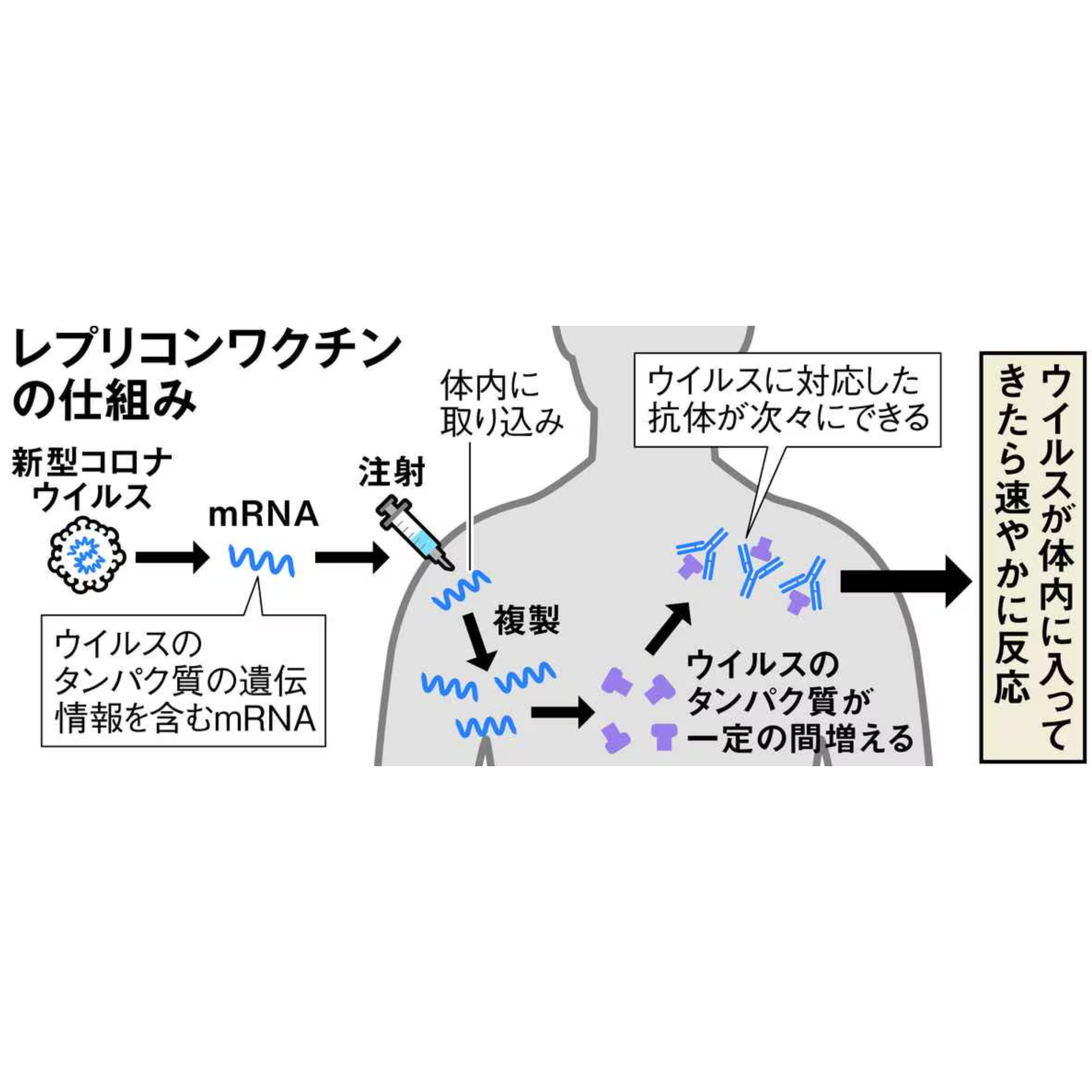 cover of episode 「自己増殖型」レプリコンワクチン接種に懸念の声。政府は安全性を強調