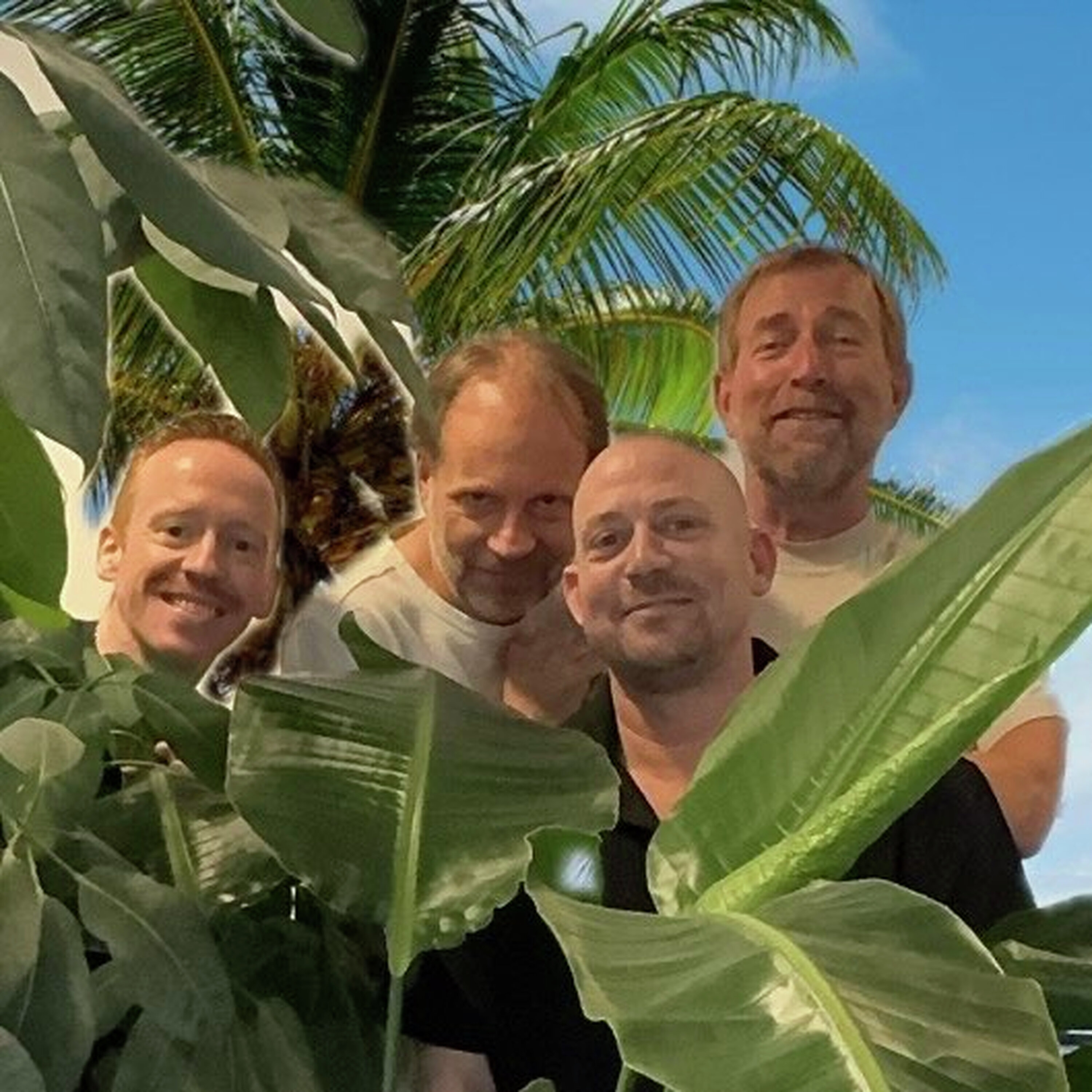 DWDR Tropical Tapes 2025 - Gijs Alkemade