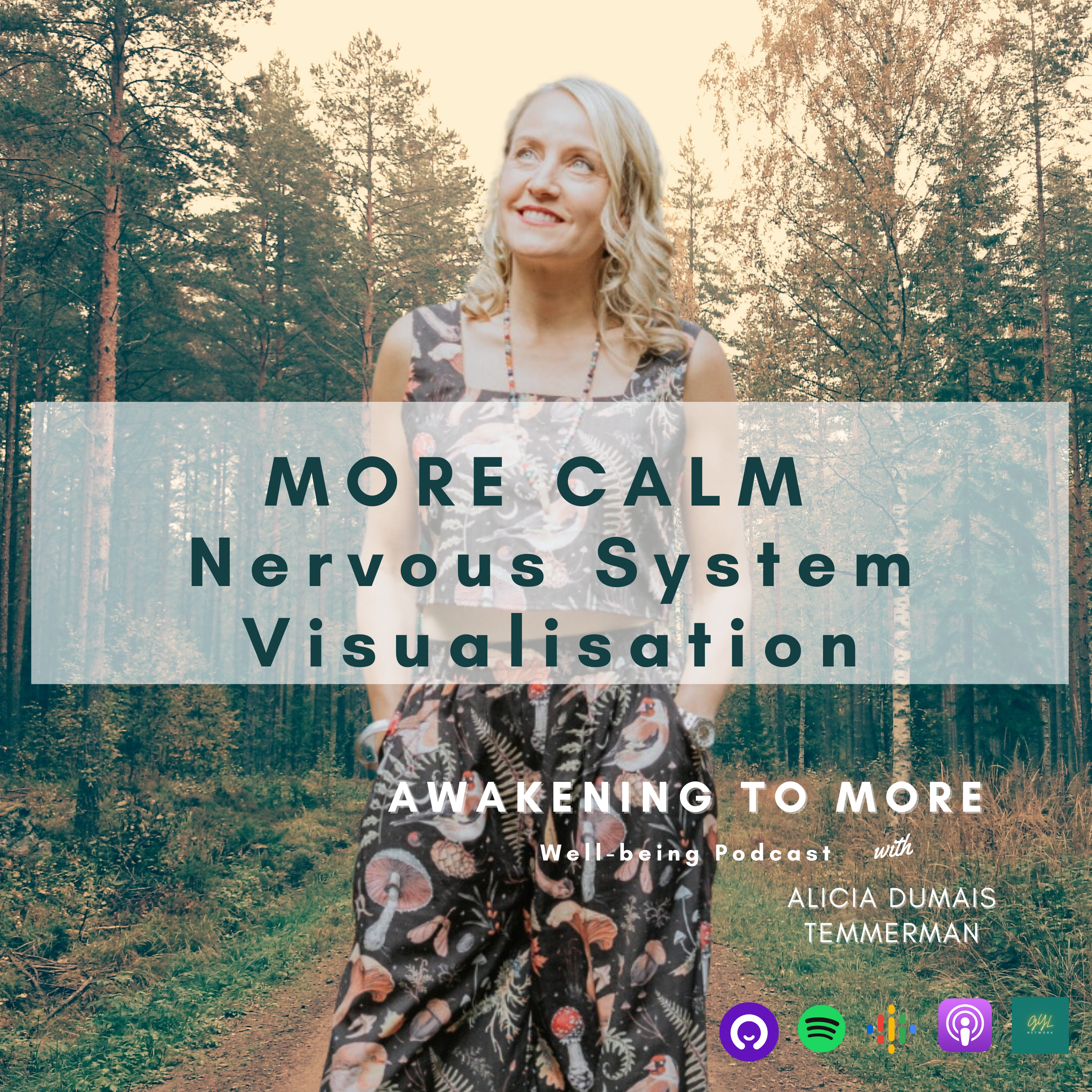 10. MORE CALM - Nervous System Reset Visualisation