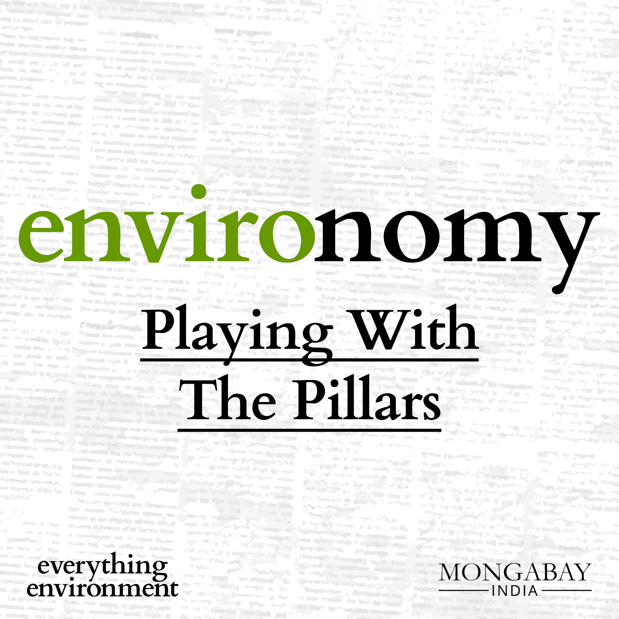 Environomy: Playing With The Pillars