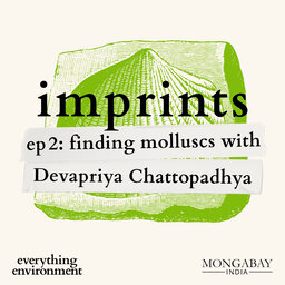 Imprints: Finding molluscs with Devapriya Chattopadhyay