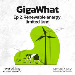 GigaWhat: Renewable energy, limited land