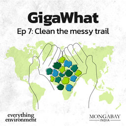 GigaWhat: Clean the messy trail