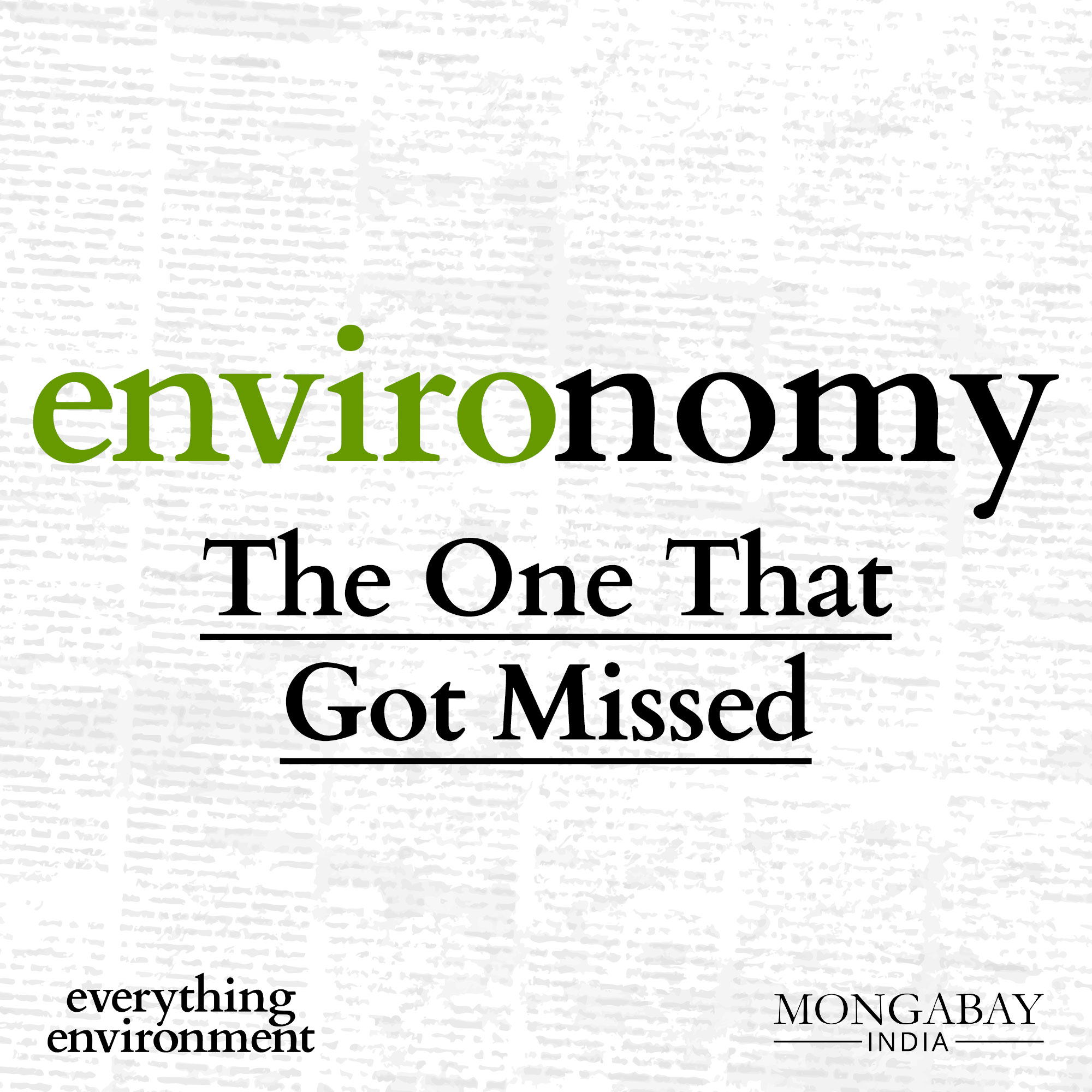 Environomy: The One That Got Missed