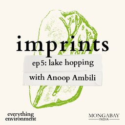 Imprints: Lake hopping with Anoop Ambili