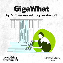 GigaWhat: Clean-washing by dams?