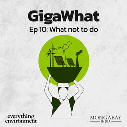 GigaWhat: What not to do