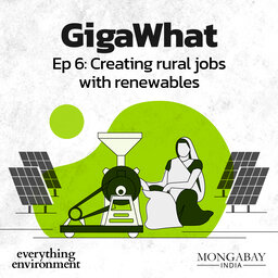 GigaWhat: Creating rural jobs with renewables
