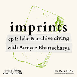 Imprints: Lake and archive diving with Atreyee Bhattacharya