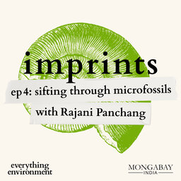 Imprints: Sifting through microfossils with Rajani Panchang
