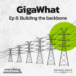 GigaWhat: Building the backbone