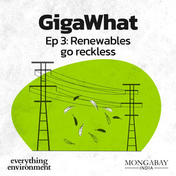 GigaWhat: Renewables go reckless