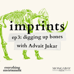 Imprints: Digging up bones with Advait Jukar
