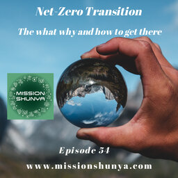 Net-Zero Transition: The what why and how to get there 