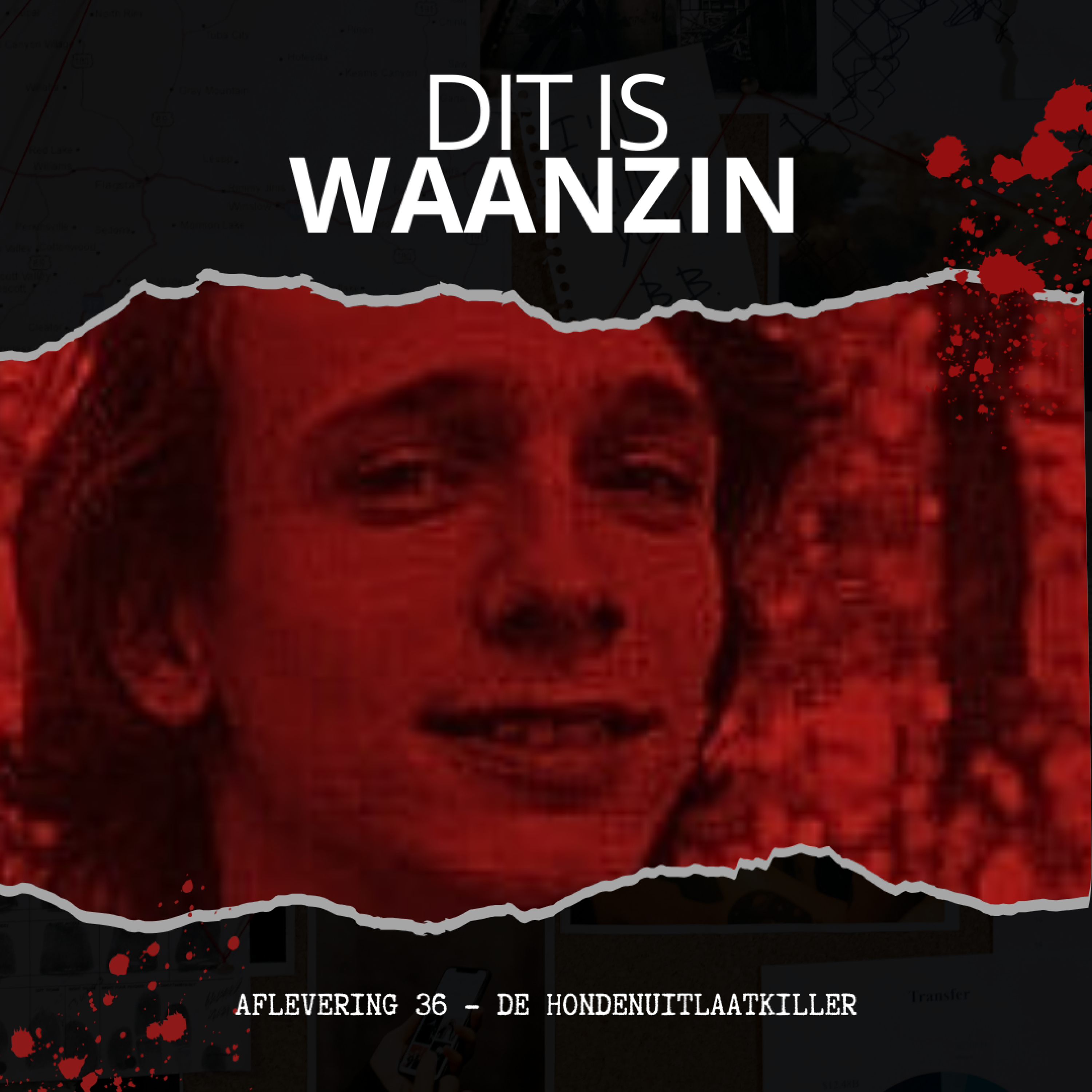 Den Haag/Brunssum - De hondenuitlaatkiller