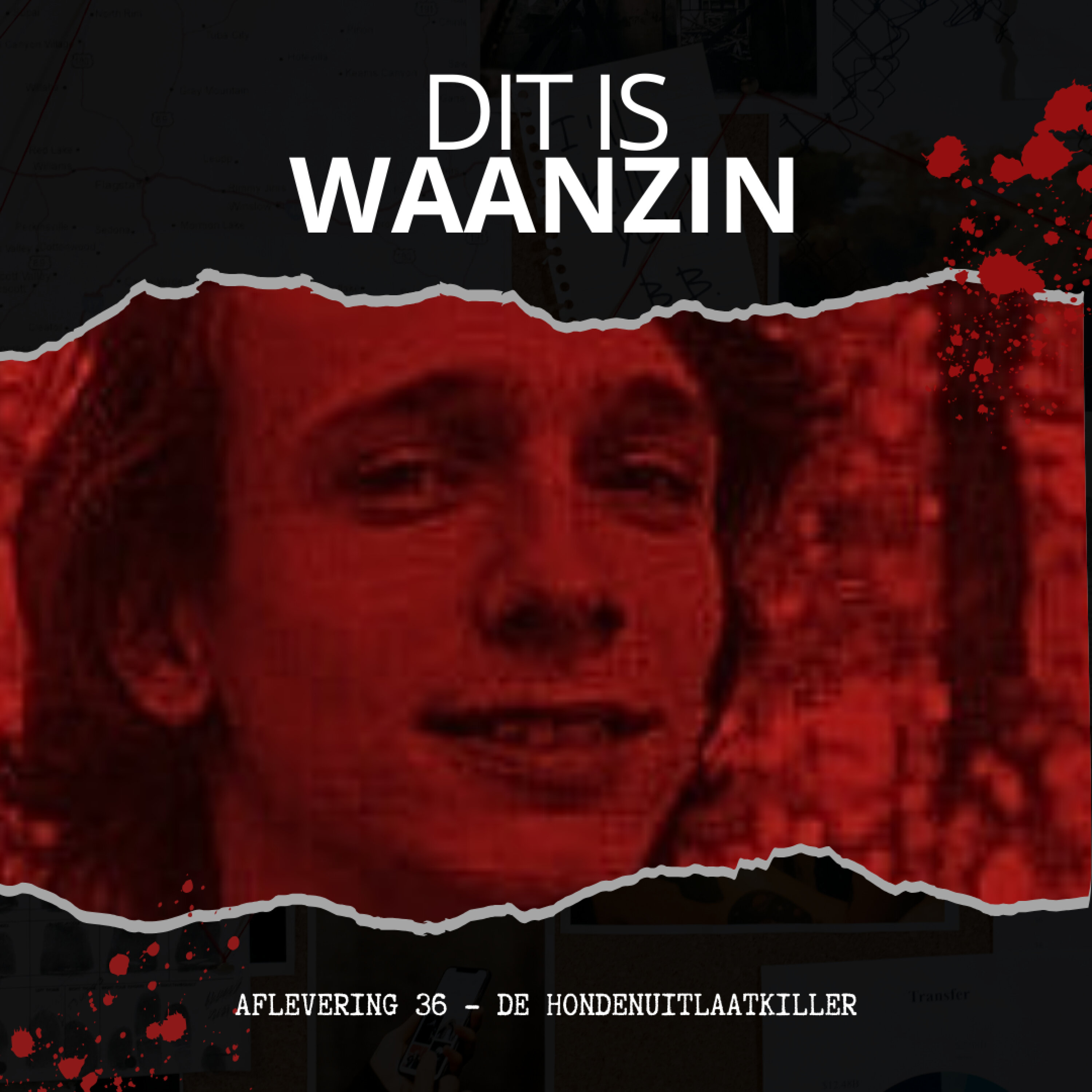 Den Haag/Brunssum - De hondenuitlaatkiller