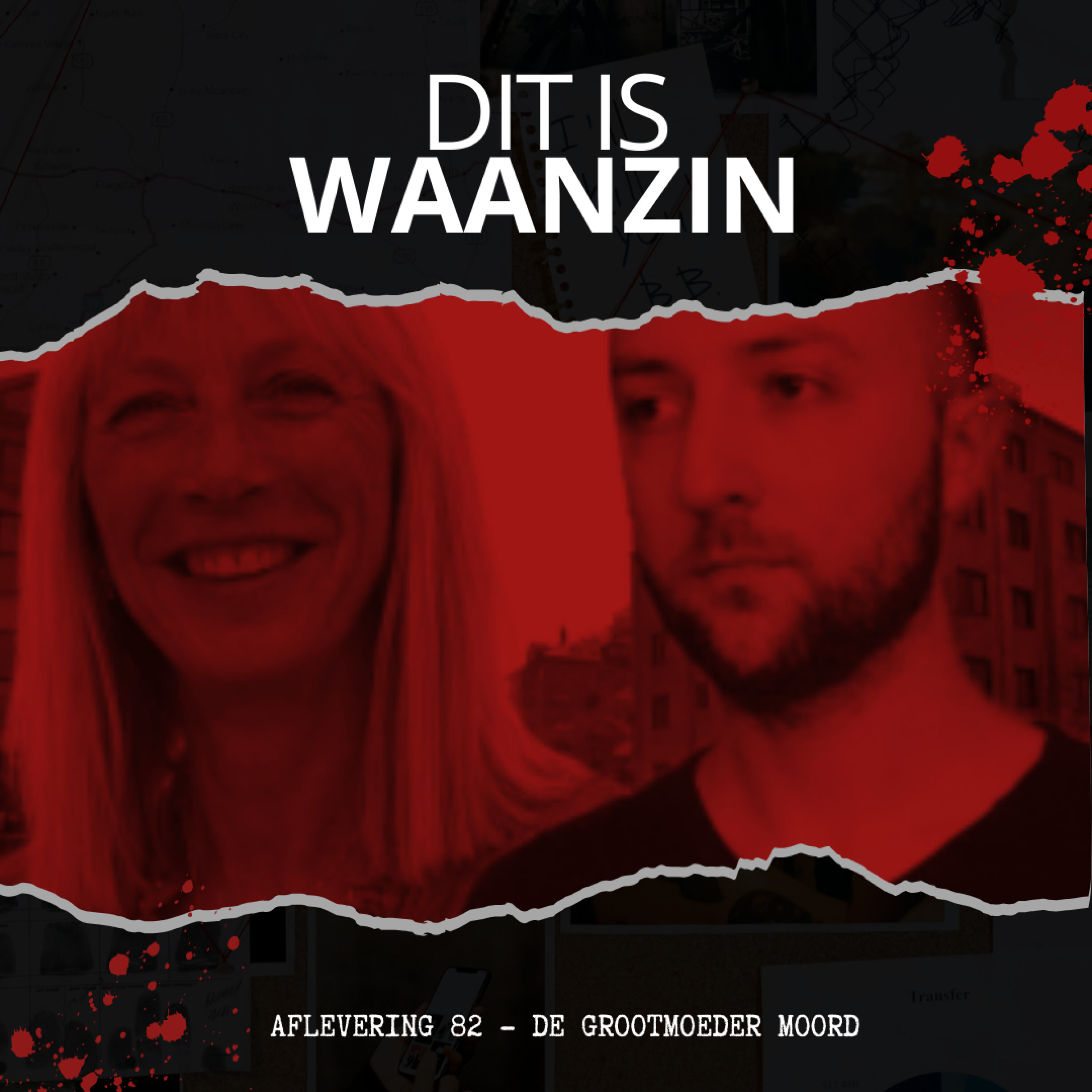 Artwork for Dit is Waanzin