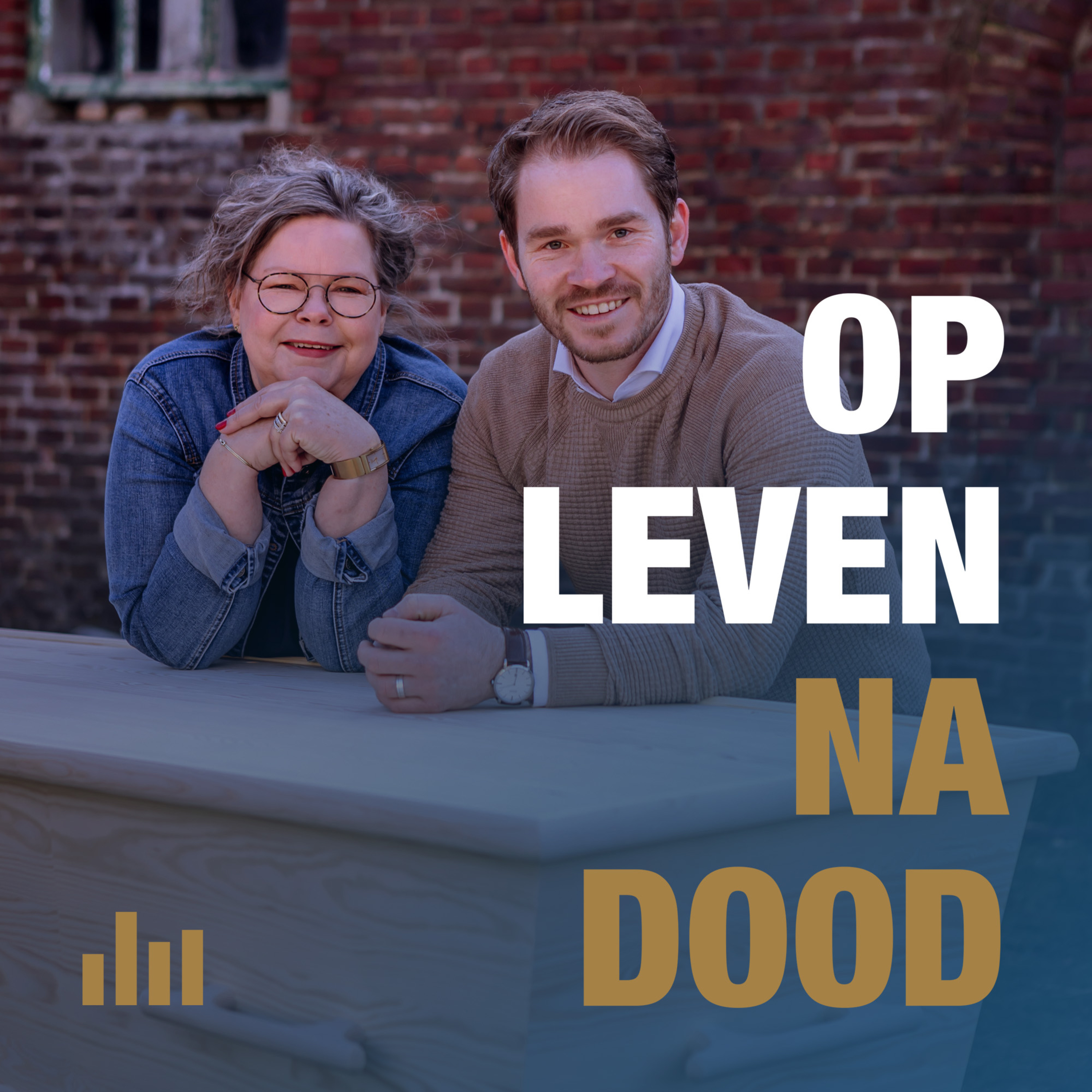 S1E4 - Resomeren, wat is dat? (in gesprek met Vincent van Leest) episode artwork