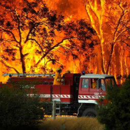 Fears dozens of towns could be wiped out by bushfires today