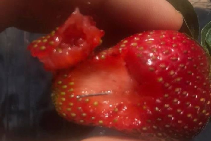 Needle Found in Strawberry On The Border