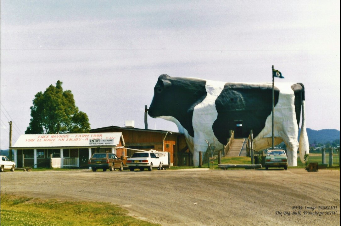 Strawny and Donny on that famous Big Bull Outside Broadcast episode artwork