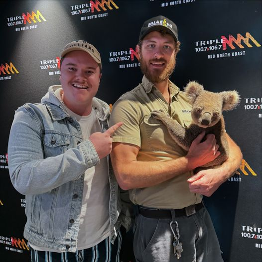 Animal Impressions: Koala episode artwork